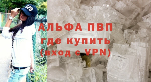 дживик Магас