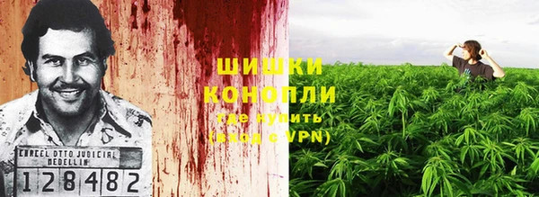 дживик Магас