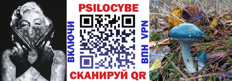 купить закладку  Оренбург  ссылка на мегу вход  Псилоцибиновые грибы Magic Shrooms 